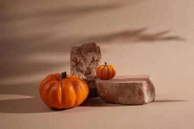 Arka planda balkabakları olan sonbahar podyumu. Kozmetik, güzellik ürünü, gölgeli sonbahar kaidesi.