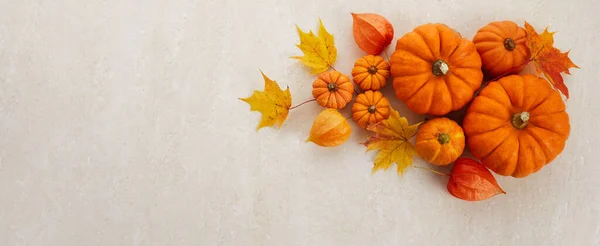 Quadro de outono de abóboras, bagas e folhas em um contexto travertino. Conceito de Dia de Ação de Graças ou Halloween. — Fotografia de Stock