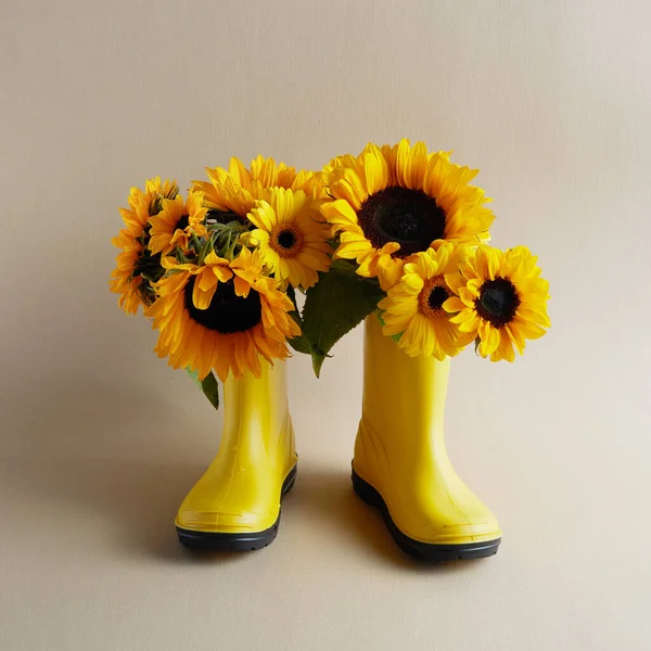 雨靴，有向日葵在围攻的背景。创意概念. — 图库照片