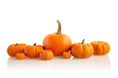 Beyaz arka planda turuncu balkabakları kuyrukta bekliyor. Ön görünüm