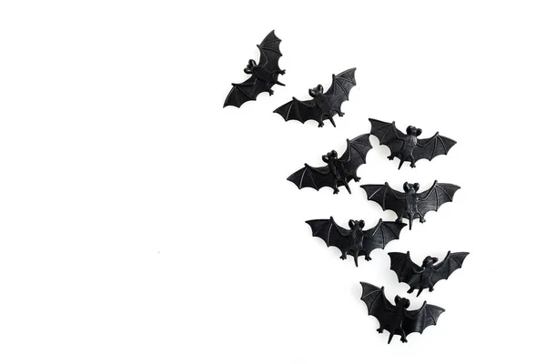 Απόκριες μαύρες νυχτερίδες πετούν πάνω από λευκό φόντο — Φωτογραφία Αρχείου