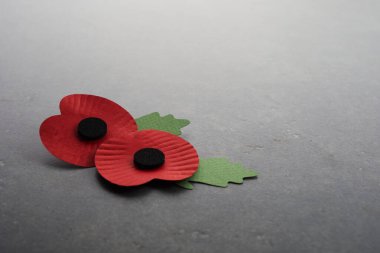 Dünya Savaşı 'nı anma günü. Kırmızı haşhaş savaşta ölenleri anmanın sembolüdür. Koyu taşlı arka planda kırmızı gelincikler