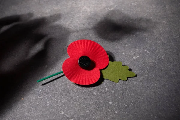 Första världskrigets minnesdag. Röd vallmo är en symbol för minnet av dem som fallit i krig. röda vallmo på mörk sten bakgrund — Stockfoto
