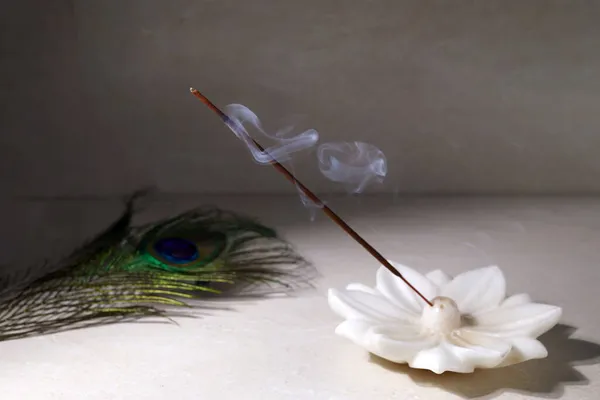 Røg fra brændende røgelsespinde stående på lotus røgelse holder - Stock-foto