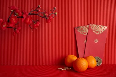 Çin Yeni Yıl Festivali dekorasyonu. Turuncu, yaprak, kırmızı paket, kırmızı arka planda erik çiçeği.