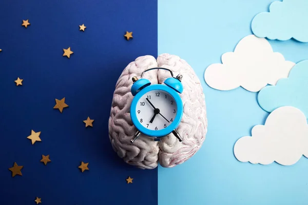 The circadian rhythms are controlled by circadian clocks or biological clock — Stock Photo, Image