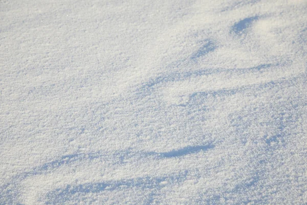 Winter snow background. Snowy white texture. Snowflakes. — Stockfoto