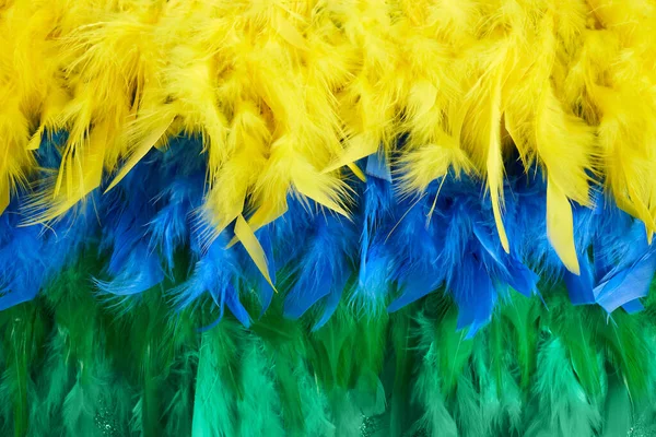 Brazilian background from feathers in the Brazilian ethnic color. Rio carnival, mardi gras background — Stock Photo, Image