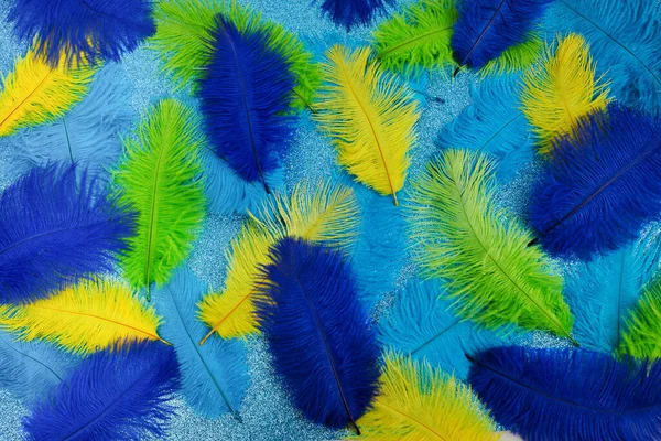 Brazilské pozadí z peří brazilské etnické barvy. Rio karneval, mardi gras pozadí — Stock fotografie