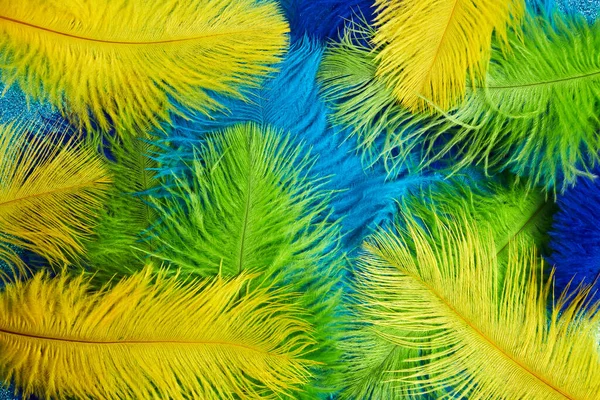 Brazilian background from feathers in the Brazilian ethnic color. Rio carnival, mardi gras background — Stock Photo, Image