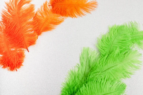 Indian flag colors from feathers concept background for republic day — Stock Photo, Image