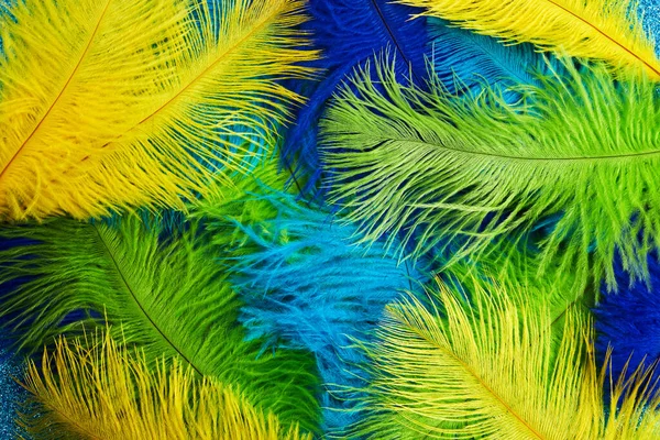 Brazilian background from feathers in the Brazilian ethnic color. Rio carnival, mardi gras background Stock Image