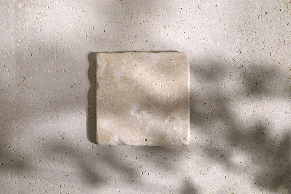 Travertin kő kijelző lapos feküdt dobogó biege háttér és eukaliptusz árnyék. Termékreklám Kozmetikai bemutató. — Stock Fotó