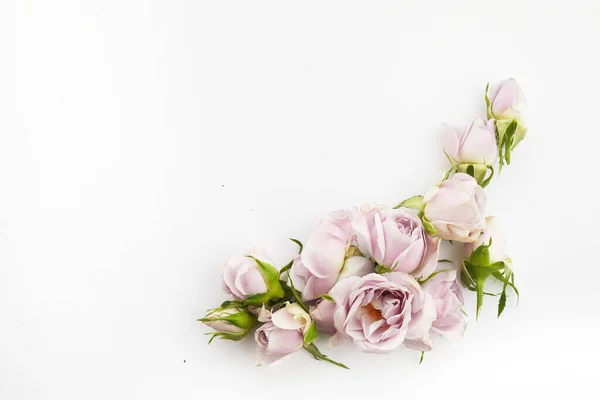 Framework from roses and petals on white background. Flat lay. — Stock Photo, Image