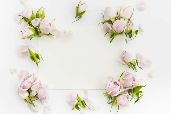 Framework from roses and petals on white background. Flat lay.