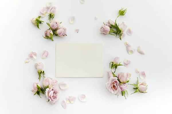 Kader van rozen en bloemblaadjes op witte achtergrond. Vlakke plaat. — Stockfoto