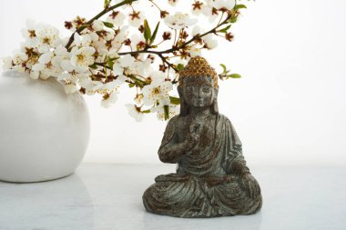 Vesak, Wesak, Buda 'nın doğum günü. Beyaz arka planda kiraz çiçeği açan Buda heykeli. Spa ritüeli. Ruh sağlığı ve meditasyon.