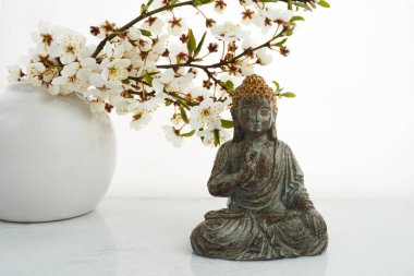 Vesak, Wesak, Buda 'nın doğum günü. Beyaz arka planda kiraz çiçeği açan Buda heykeli. Spa ritüeli. Ruh sağlığı ve meditasyon.