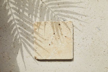 Travertine Taşı, travertin taşından arka planda ve palmiye gölgesinde düz bir podyum sergiliyordu. Ürün tanıtımı Güzellik kozmetik vitrini.