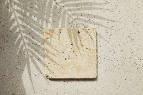 Travertine Taşı, travertin taşından arka planda ve palmiye gölgesinde düz bir podyum sergiliyordu. Ürün tanıtımı Güzellik kozmetik vitrini.