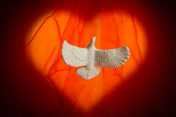 Pentecost Sunday. Pentecost background with flying dove — Stok fotoğraf