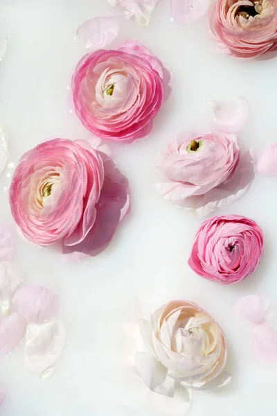 Bagno di latte con fiori rosa e petali. Vista dall'alto — Foto Stock