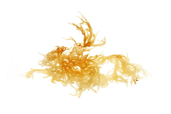 白い背景に隔離された新鮮なアイルランドの苔の海藻 — ストック写真