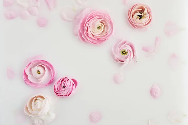 Baño de leche con flores y pétalos rosados. Vista superior —  Fotos de Stock