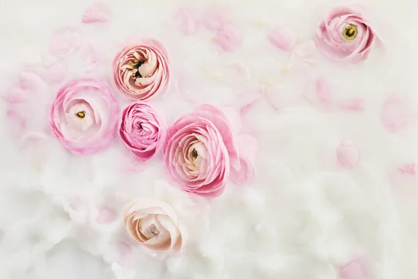 Baño de leche con flores y pétalos rosados. Vista superior —  Fotos de Stock