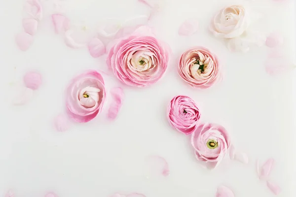 Baño de leche con flores y pétalos rosados. Vista superior —  Fotos de Stock