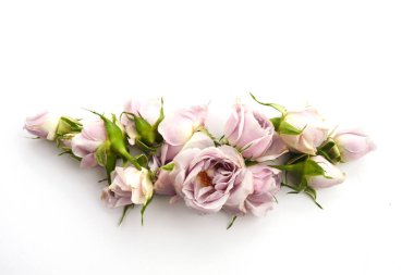 Beyaz arkaplanda güller ve taç yaprakları var. Düz yatıyordu