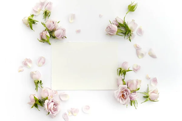 白い背景のバラや花弁からの枠組み — ストック写真