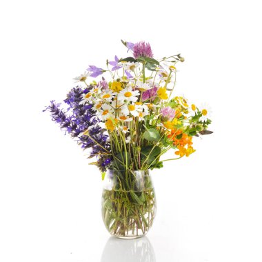 Beyaz bir demet yaban çiçeği.