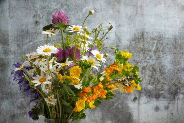 Koyu arka planda güzel kır çiçekleri.