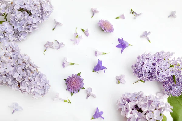 ライラックの花のパターンの背景のトップビュー フラットレイ — ストック写真