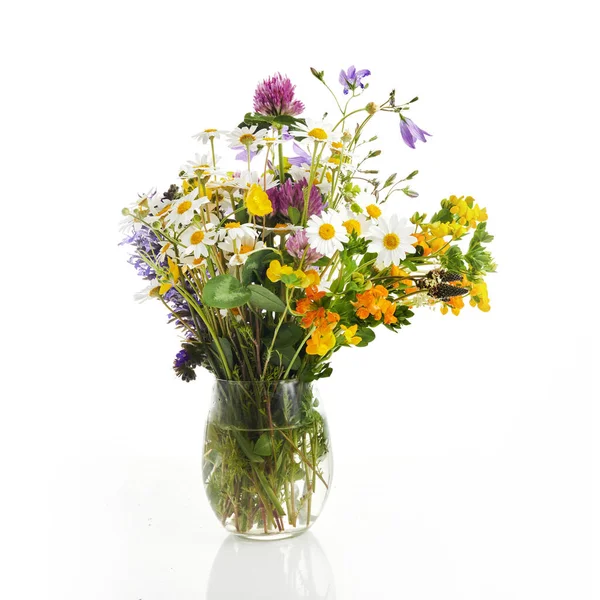 Красивий Букет Польових Квітів Ізольований Білому — стокове фото