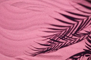 Pembe kum dokusu. Ürün geçmişi için palmiye gölgesi olan kumsal. Üst görünüm.