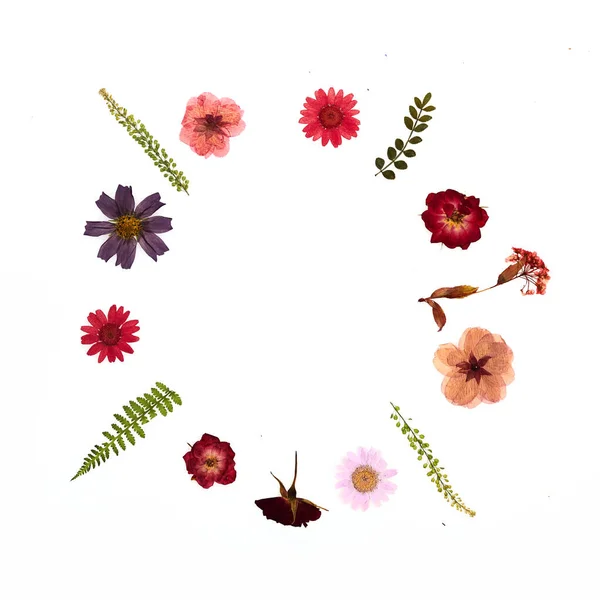 Πλαίσιο Από Πατημένα Και Αποξηραμένα Καλοκαιρινά Λουλούδια — Φωτογραφία Αρχείου