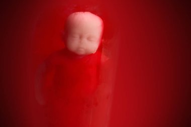 Baby doll in the red blood looks like abortation