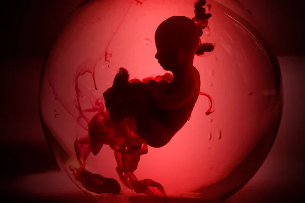 Abortion Concept Baby Doll Red Blood Looks Abortation — ストック写真