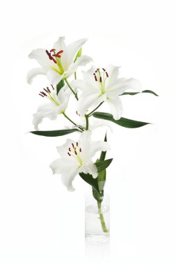 Beyaz zemin üzerinde izole nilüferler buketi