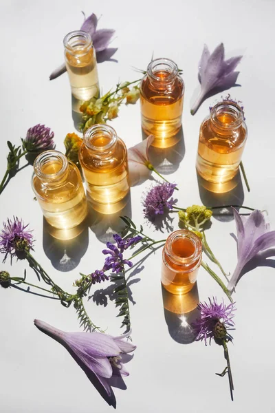 Selection Essential Oils Herbs Flowers White Background Top View — Stok Foto