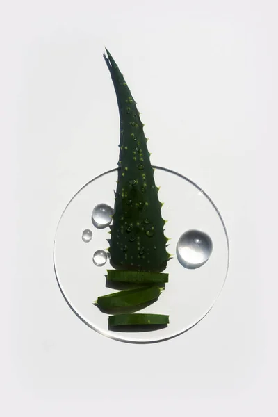 Abstract Cosmetic Laboratory Aloe Vera Cosmetic Product Natural Ingredients Laboratory — Foto de Stock