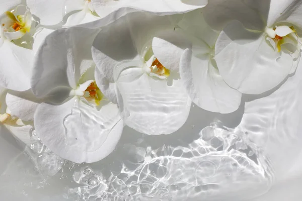 White Orchids Water Zen Spa Relaxation Concept — Photo