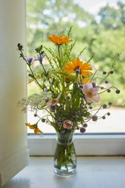 Pencere kenarında izole edilmiş güzel kır çiçekleri.