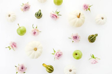 Sonbahar kompozisyonu. Beyaz arka planda balkabakları, çiçekler ve elmalar. Sonbahar, sonbahar ve Şükran Günü konsepti. Düz üst görünüm