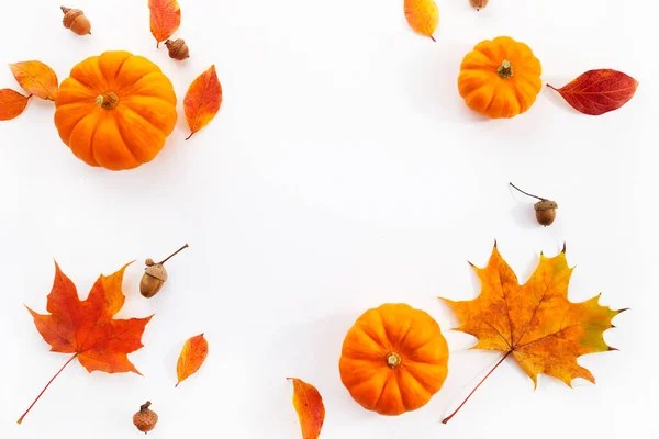 Kürbisse Mit Herbstblättern Auf Weißem Hintergrund Ansicht Von Oben — Stockfoto