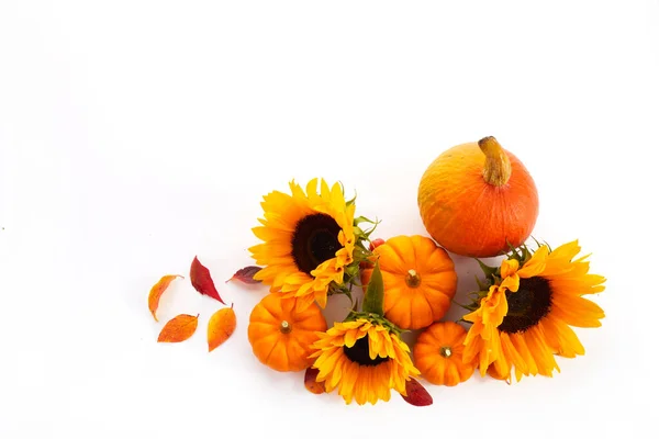 Autumn composition. Pumpkin and sunflowers on white background. Autumn, fall, thanksgiving day concept. Flat lay top view