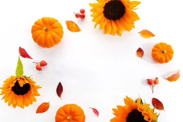 Autumn composition. Pumpkin and sunflowers on white background. Autumn, fall, thanksgiving day concept. Flat lay top view