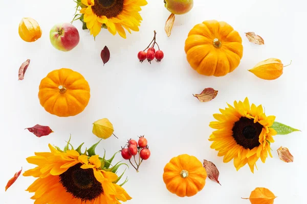 秋天的作文 向日葵和山楂白色背景 秋天和感恩节的概念 平面放置顶部视图 — 图库照片